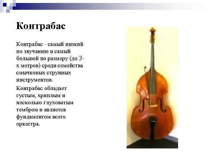 Контрабас - самый низкий по звучанию и самый большой по размеру (до 2 х