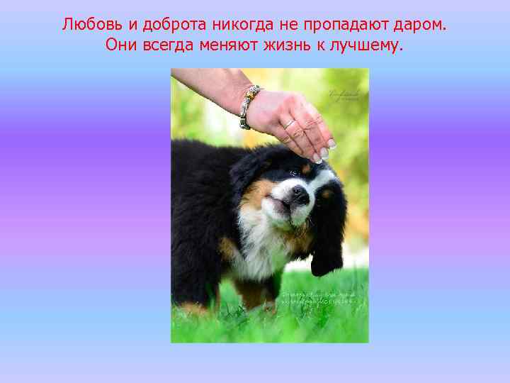 Любовь и доброта никогда не пропадают даром. Они всегда меняют жизнь к лучшему. 