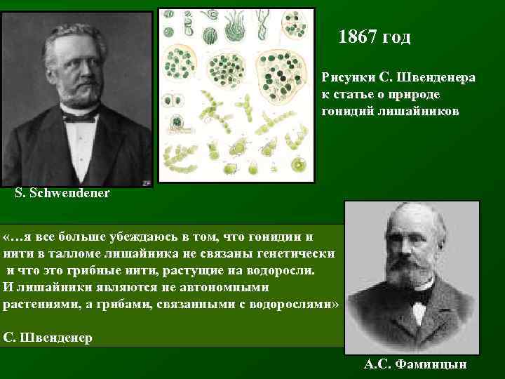 1867 год Рисунки С. Швенденера к статье о природе гонидий лишайников S. Schwendener «…я