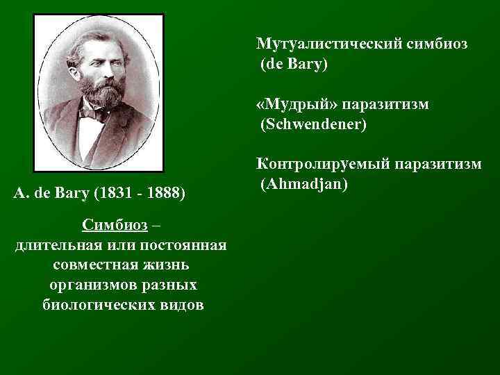 Мутуалистический симбиоз (de Bary) «Мудрый» паразитизм (Schwendener) A. de Bary (1831 - 1888) Симбиоз