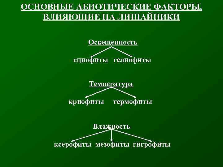 ОСНОВНЫЕ АБИОТИЧЕСКИЕ ФАКТОРЫ, ВЛИЯЮЩИЕ НА ЛИШАЙНИКИ Освещенность сциофиты гелиофиты Температура криофиты термофиты Влажность ксерофиты