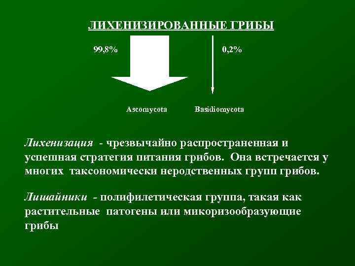 ЛИХЕНИЗИРОВАННЫЕ ГРИБЫ 99, 8% 0, 2% Ascomycota Basidiomycota Лихенизация - чрезвычайно распространенная и успешная