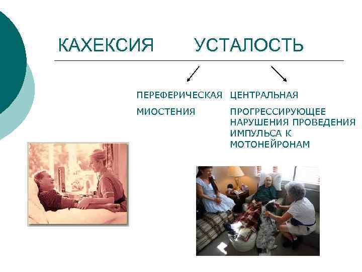 КАХЕКСИЯ УСТАЛОСТЬ ПЕРЕФЕРИЧЕСКАЯ ЦЕНТРАЛЬНАЯ МИОСТЕНИЯ ПРОГРЕССИРУЮЩЕЕ НАРУШЕНИЯ ПРОВЕДЕНИЯ ИМПУЛЬСА К МОТОНЕЙРОНАМ 