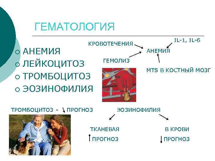 ГЕМАТОЛОГИЯ IL-1, IL-6 КРОВОТЕЧЕНИЯ АНЕМИЯ ¡ ЛЕЙКОЦИТОЗ ¡ ТРОМБОЦИТОЗ ¡ ЭОЗИНОФИЛИЯ АНЕМИЯ ¡ ТРОМБОЦИТОЗ