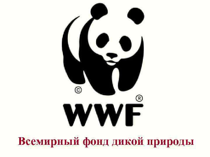 Всемирный фонд дикой природы 
