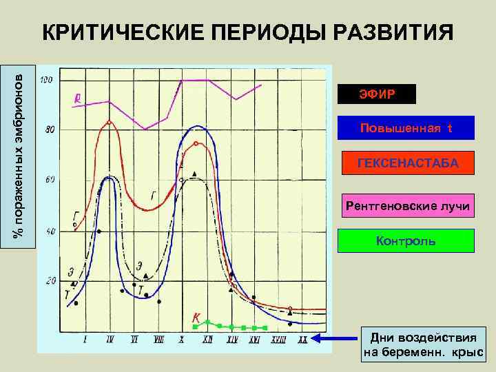 % пораженных эмбрионов КРИТИЧЕСКИЕ ПЕРИОДЫ РАЗВИТИЯ ЭФИР Повышенная t ГЕКСЕНАСТАБА Рентгеновские лучи Контроль Дни