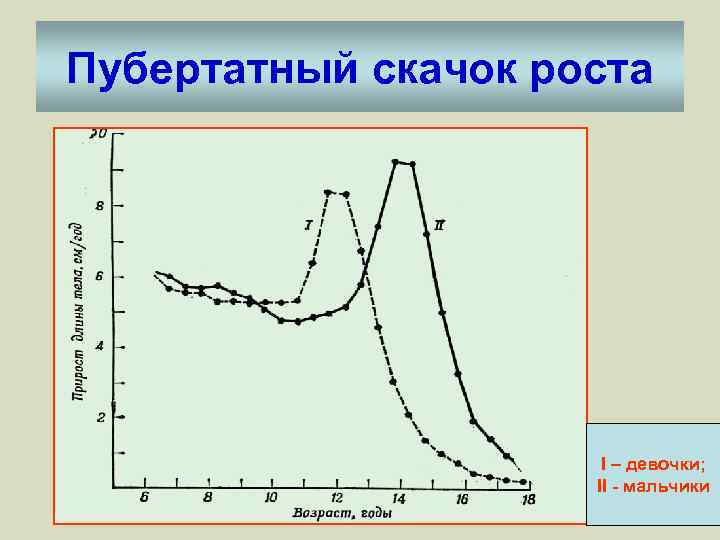 Пубертатный скачок роста I – девочки; II - мальчики 