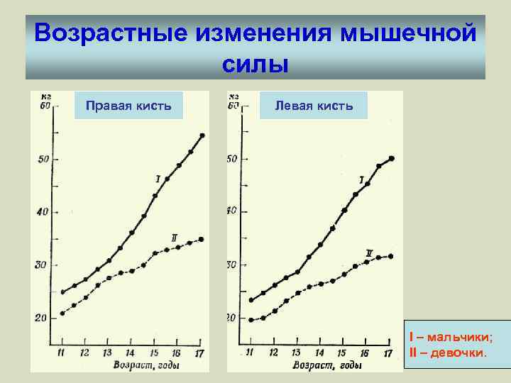 Возрастные изменения мышечной силы Правая кисть Левая кисть I – мальчики; II – девочки.