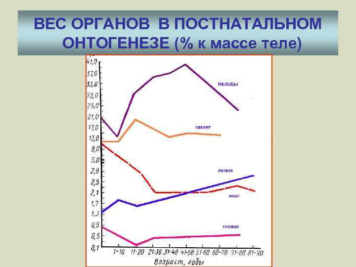 ВЕС ОРГАНОВ В ПОСТНАТАЛЬНОМ ОНТОГЕНЕЗЕ (% к массе теле) 