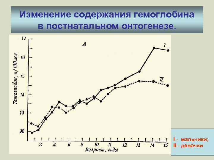 Изменение содержания гемоглобина в постнатальном онтогенезе. I - мальчики; II - девочки 