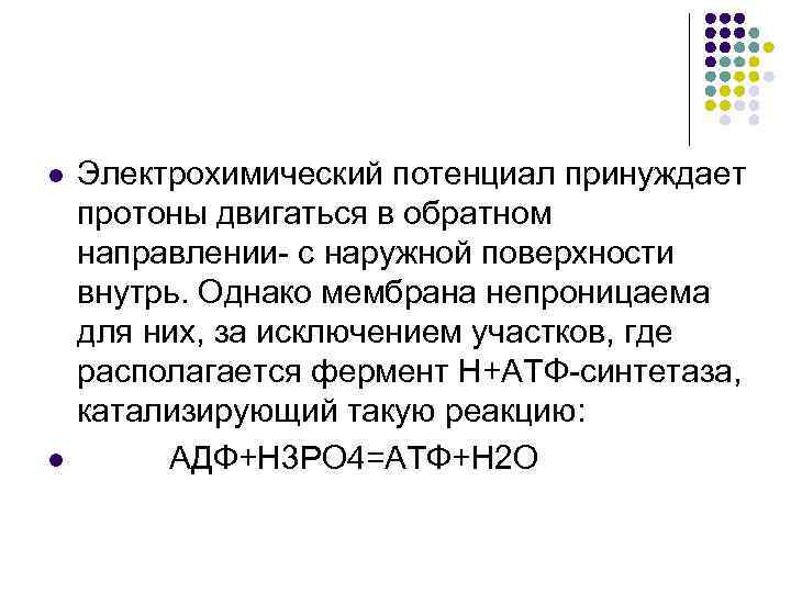 l l Электрохимический потенциал принуждает протоны двигаться в обратном направлении- с наружной поверхности внутрь.