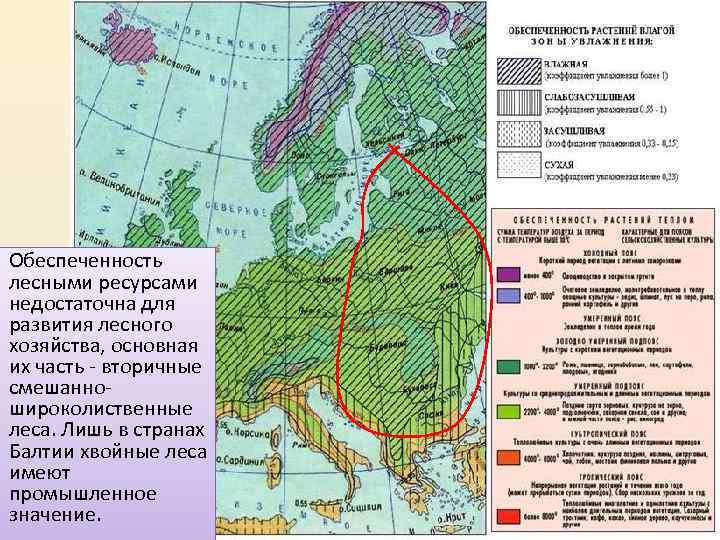 Обеспеченность лесными ресурсами недостаточна для развития лесного хозяйства, основная их часть - вторичные смешанношироколиственные