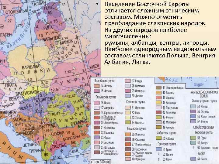  • Население Восточной Европы отличается сложным этническим составом. Можно отметить преобладание славянских народов.