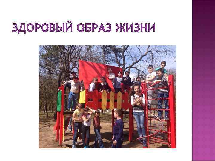 ЗДОРОВЫЙ ОБРАЗ ЖИЗНИ 