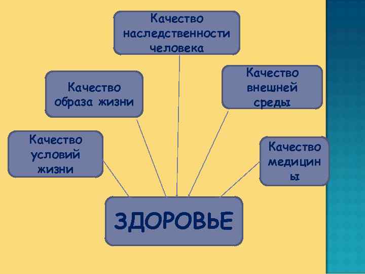 Качество наследственности человека Качество образа жизни Качество условий жизни Качество внешней среды Качество медицин