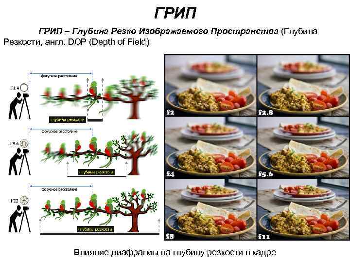 Глубина резкости. Грип глубина резкости.