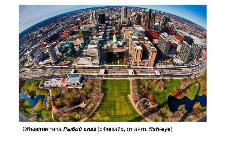 Объектив типа Рыбий глаз ( «Фишай» , от англ. fish-eye) 