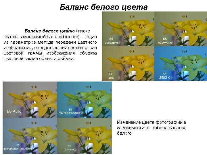 Баланс белого цвета Бала нс бе лого цве та (также кратко называемый баланс белого)