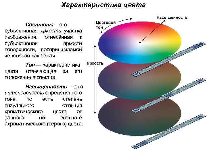 Отвечающий за окраску