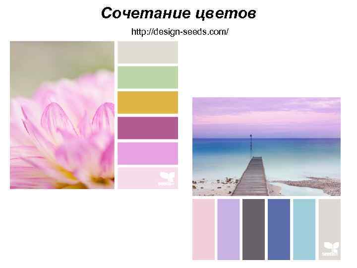 Сочетание цветов http: //design-seeds. com/ 
