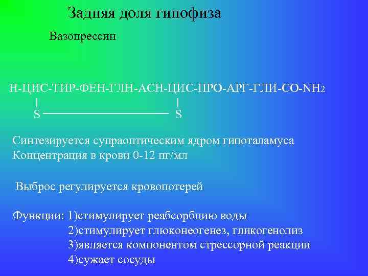 Задняя доля гипофиза Вазопрессин Н-ЦИС-ТИР-ФЕН-ГЛН-АСН-ЦИС-ПРО-АРГ-ГЛИ-CO-NH 2 S S Синтезируется супраоптическим ядром гипоталамуса Концентрация в