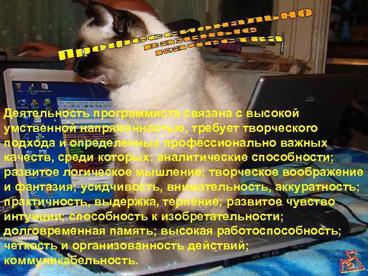 Деятельность программиста связана с высокой умственной напряженностью, требует творческого подхода и определенных профессионально важных