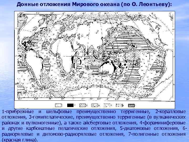 Донные отложения