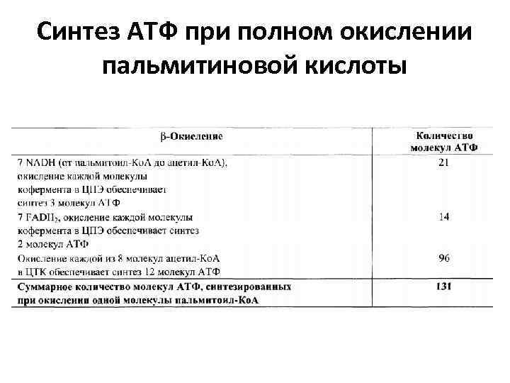 Синтез АТФ при полном окислении пальмитиновой кислоты 