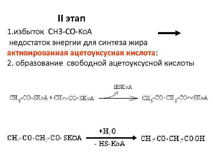 II этап 1. избыток CH 3 -CO-Ko. A недостаток энергии для синтеза жира активированная