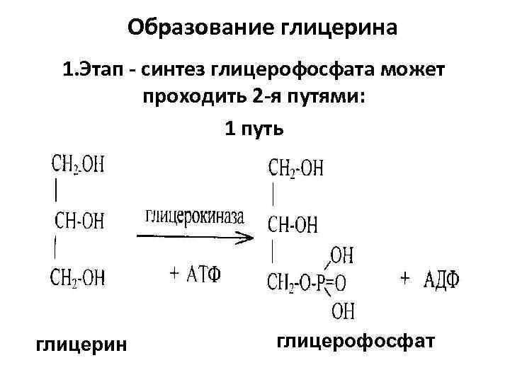 Образование глицерина 1. Этап - синтез глицерофосфата может проходить 2 -я путями: 1 путь