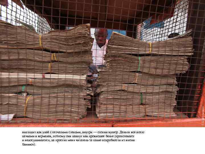 выглядит как улей с сетчатыми стенами, внутри — стопки купюр. Деньги все носят пачками