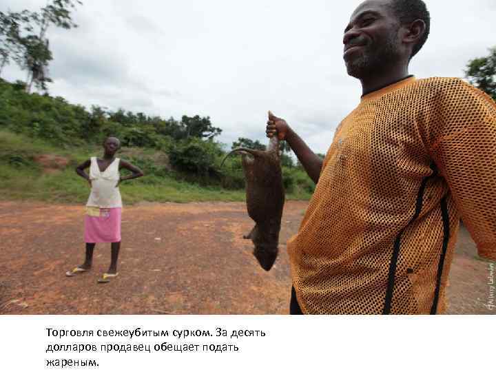 Торговля свежеубитым сурком. За десять долларов продавец обещает подать жареным. 