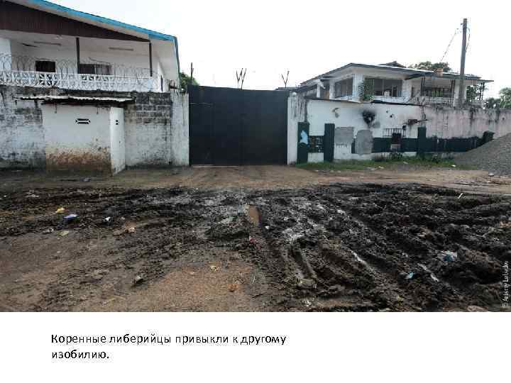 Коренные либерийцы привыкли к другому изобилию. 