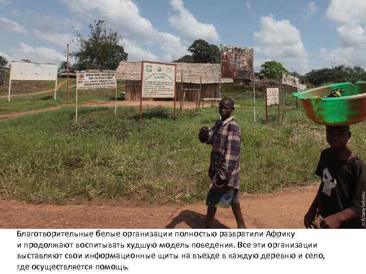 Благотворительные белые организации полностью развратили Африку и продолжают воспитывать худшую модель поведения. Все эти