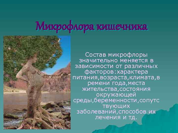 Микрофлора кишечника Состав микрофлоры значительно меняется в зависимости от различных факторов: характера питания, возраста,