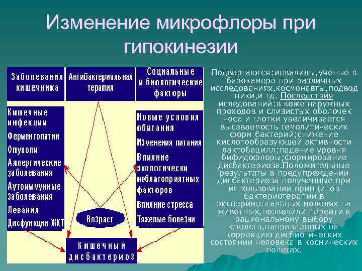 Изменение микрофлоры при гипокинезии u Подвергаются: инвалиды, ученые в барокамере при различных исследованиях, космонавты,