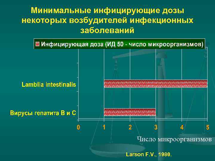 Схема эпидемического процесса при туберкулезе