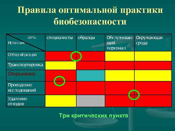 По правилу оптимального