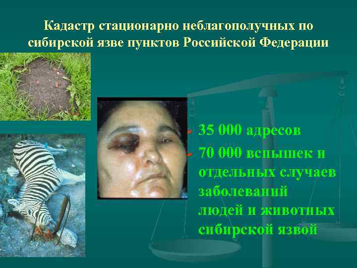 Кадастр стационарно неблагополучных по сибирской язве пунктов Российской Федерации 35 000 адресов Ø 70