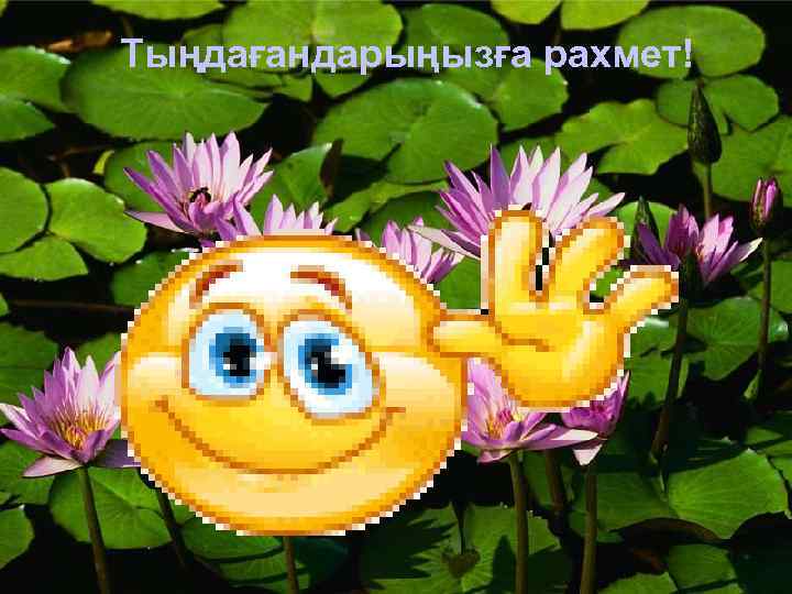 Тыңдағандарыңызға рахмет! 