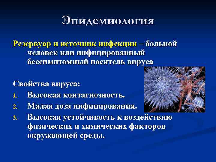 Эпидемиология Резервуар и источник инфекции – больной человек или инфицированный бессимптомный носитель вируса Свойства