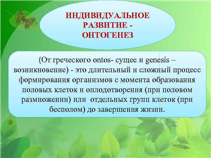 ИНДИВИДУАЛЬНОЕ РАЗВИТИЕ ОНТОГЕНЕЗ (От греческого ontos- сущее и genesis – возникновение) - это длительный
