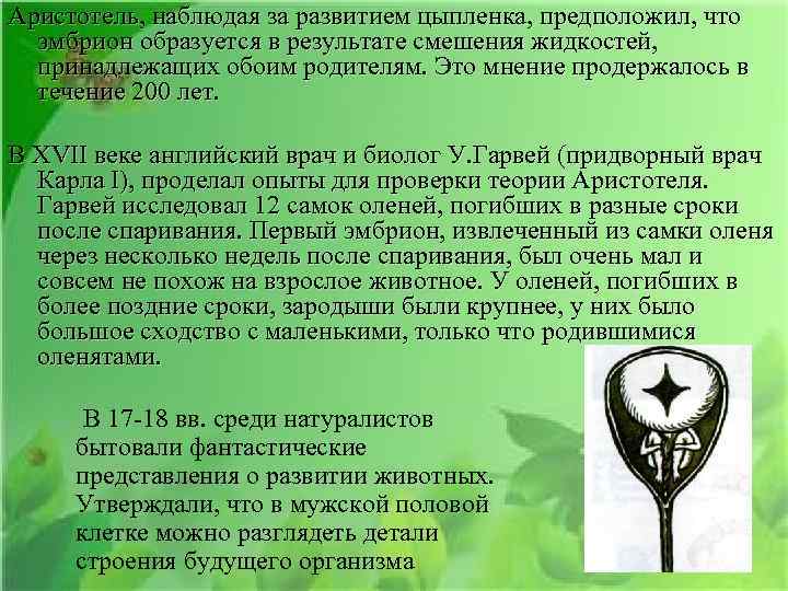 Аристотель, наблюдая за развитием цыпленка, предположил, что эмбрион образуется в результате смешения жидкостей, принадлежащих