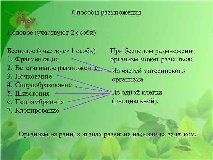 Способы размножения Половое (участвуют 2 особи) Бесполое (участвует 1 особь) 1. Фрагментация 2. Вегетативное