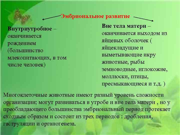 Эмбриональное развитие Внутриутробное – оканчивается рождением (большинство млекопитающих, в том числе человек) Вне тела