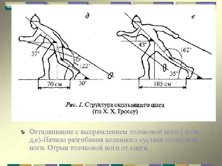 Отталкивание с выпрямлением толчковой ноги ( поза д, е)-Начало разгибания коленного сустава толчковой ноги.