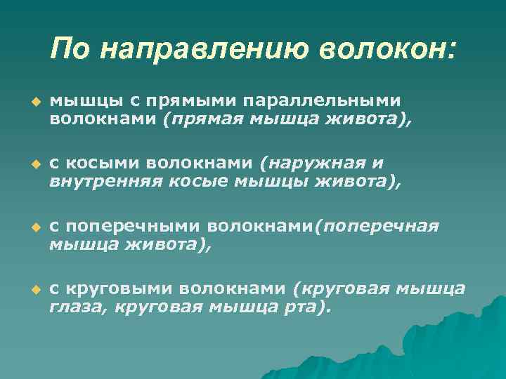 По направлению волокон: u мышцы с прямыми параллельными волокнами (прямая мышца живота), u с