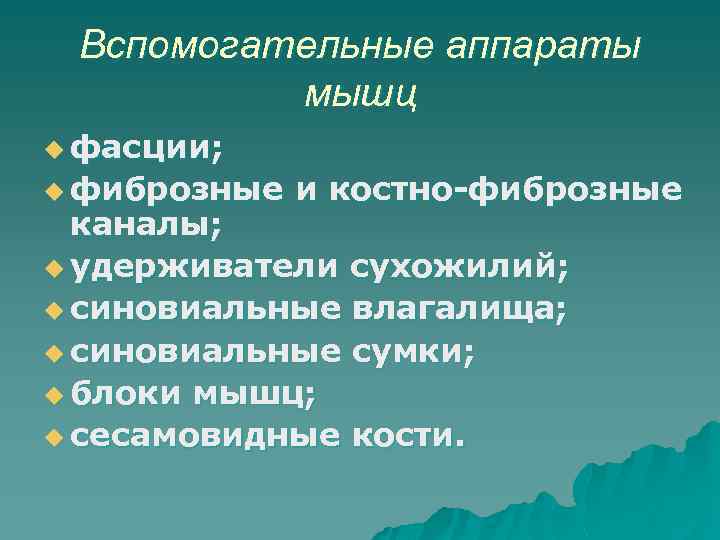 Вспомогательные аппараты мышц u фасции; u фиброзные и костно-фиброзные каналы; u удерживатели сухожилий; u