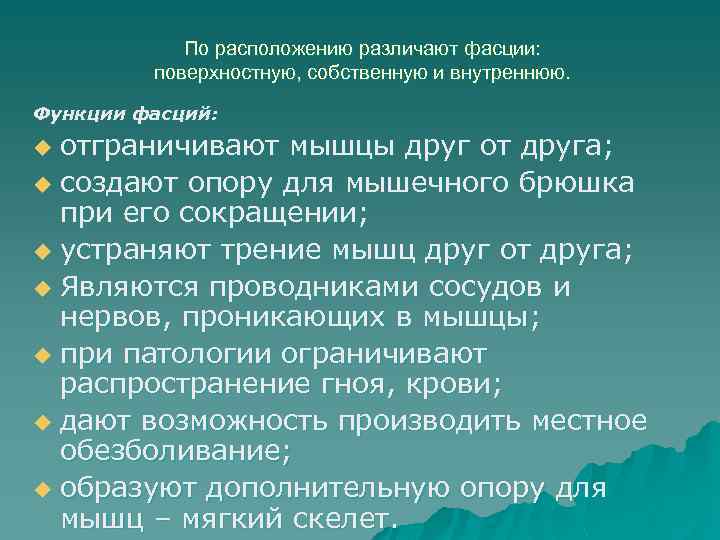 По расположению различают фасции: поверхностную, собственную и внутреннюю. Функции фасций: отграничивают мышцы друг от