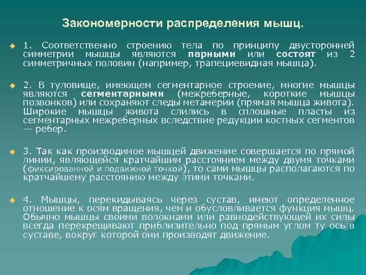 Закономерности распределения мышц. u 1. Соответственно строению тела по принципу двусторонней симметрии мышцы являются